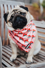 Cargar imagen en el visor de la galería, Bandana - Santa Fe
